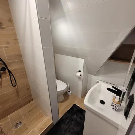 Apartment Sobczakowka 2