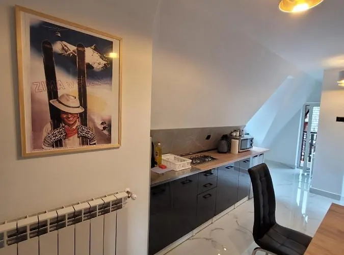 公寓 Sobczakowka 2 扎科帕内